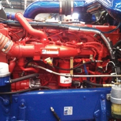 Gallery Image Number 1