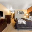 Sleep Inn & Suites Huntsville near U.S. Space & Rocket Center - Motels