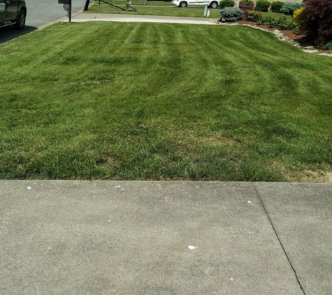 Elite Lawn Care Specialists LLP - Louisville, KY