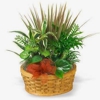 Phillip's Flowers & Gifts gallery