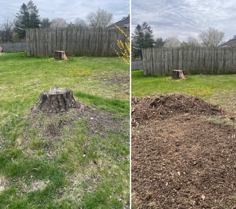 Stump Wrecker - Latham, NY. Tree Stump East Greensbush NY