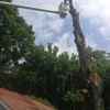 Cumberland Tree Service, LLC gallery