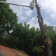 Cumberland Tree Service, LLC