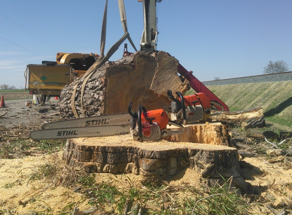 Tree Frog Tree Service - Valparaiso, IN