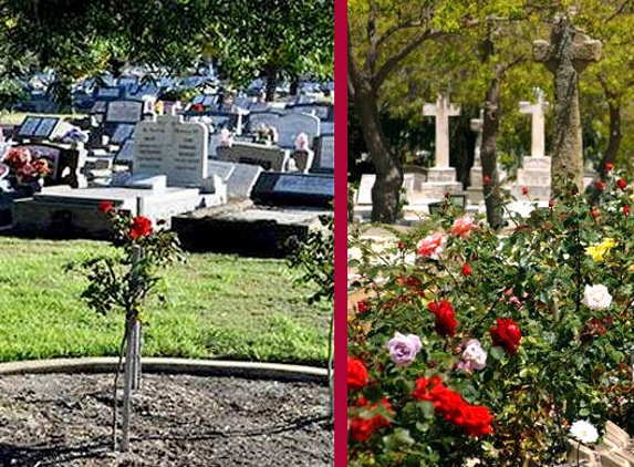 Karrakatta Cemetery - Karrakatta, WA
