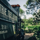True Tree Service Miami - Arborists