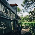 True Tree Service Miami