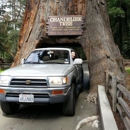 Drive Thru Tree Park - Parks