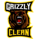 Grizzly Clean - Automobile Detailing