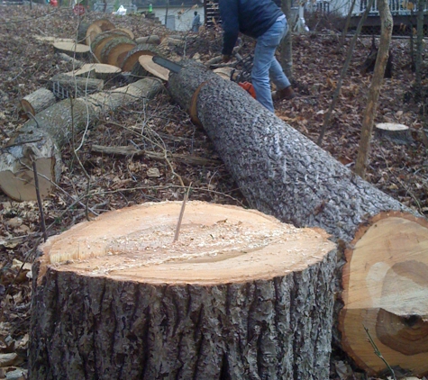 Central Tree Service - Burlington, NC