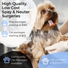 Spay Neuter Vets gallery