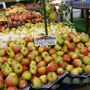 Bardy Farms & Greenhouses