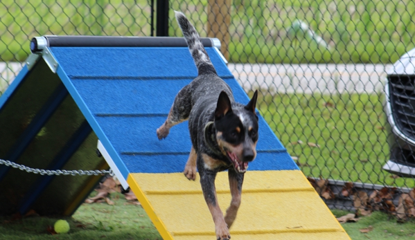 Anytime Dog Training - Richlands, NC