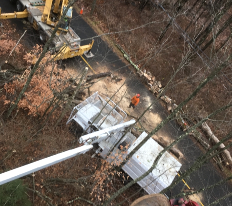 A & A Tree Service - New Milford, CT