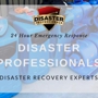 Disaster Professionals