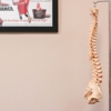 Atlas Total Health Chiropractic (Shallowford/Hwy 58) gallery