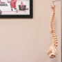 Atlas Total Health Chiropractic (Shallowford/Hwy 58)