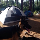 Lake Francis RV Resort - Resorts