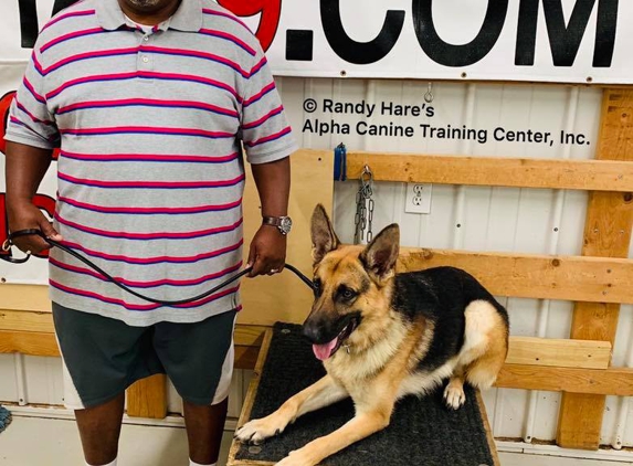 Alpha Canine Training Center, Inc. - Nashville, TN