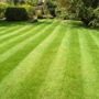 3 C's Lawn & Leaf