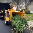 Gatling Tree Service Culpeper - Tree Service