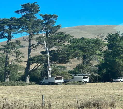 FC Valley Tree Care