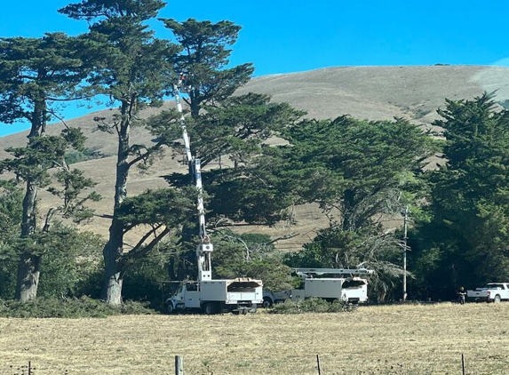 FC Valley Tree Care