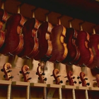 String Theory Violins