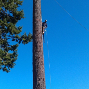 Saunders Tree Service LLC - Shoreline, WA