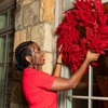 Humbug Holiday Lighting of South Houston-Pasadena-La Porte gallery