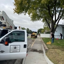 All Tree Works