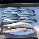 Low Country Fishing Charters, Inc. - Fishing Guides