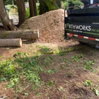 Earthworks Tree Service