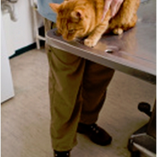 Flushing Veterinary Hospital - Flushing, NY