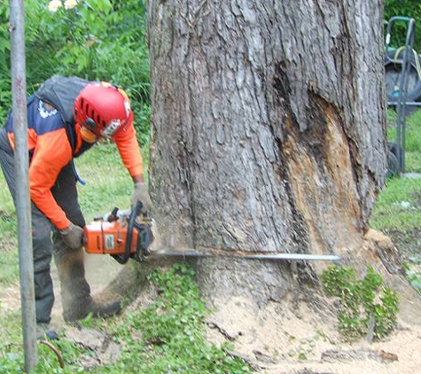 Limbwalker Tree Service Inc - Louisville, KY