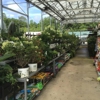 Tractor Supply Co gallery