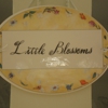 Little Blossoms Day Care gallery