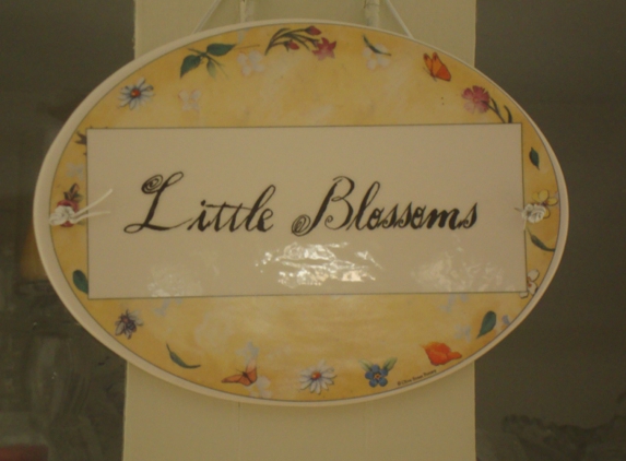 Little Blossoms Day Care - Monrovia, CA