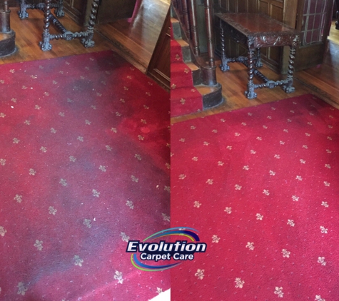 Evolution Carpet Care - Yonkers, NY