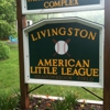 Livingston American Little LG gallery