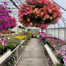 Missinne Greenhouse & Landscaping - Greenhouses