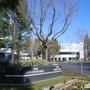 Cancer Prevention Institute Of Californ Ia