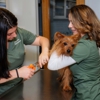 Hartsdale Veterinary Hospital gallery