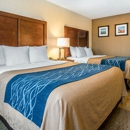 Comfort Inn Tacoma - Motels