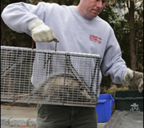 Qualitypro Pest & Wildlife Svc - Tarrytown, NY