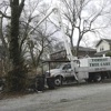Foriest Tree Care gallery