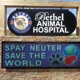 Bethel Animal Hospital