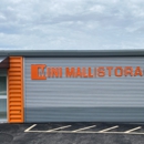 Mini Mall Storage