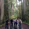 Redwood Rides gallery