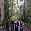 Redwood Rides - Bicycle Rental